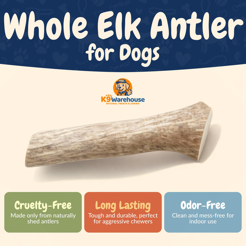 K9warehouse tranche de cerf naturel, texture dense pour chiens robustes.
