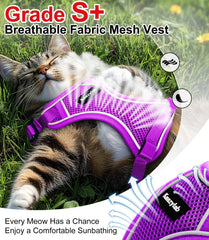 Harnais Kaazylab 360 ergonomique, ajustement sûr pour tous les chats.