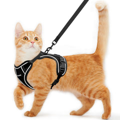 Kaazylab harnais-chat anti-évasion pour balades sécurisées et sereines.