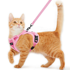 Harnais Kaazylab anti-evasion pour chat, promenade sécurisée.
