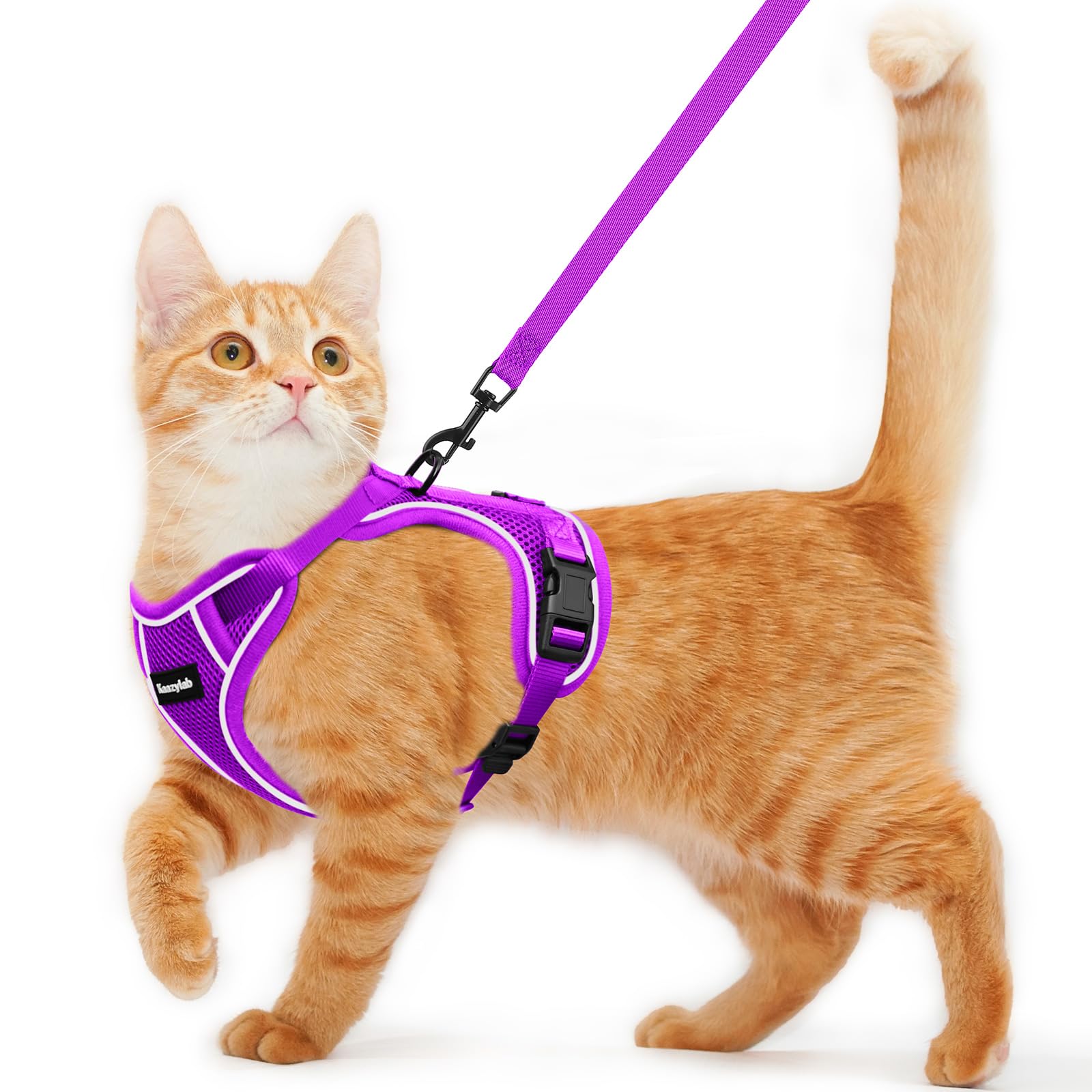 Kaazylab harnais-chat anti-sortie, sécurité renforcée lors des promenades.