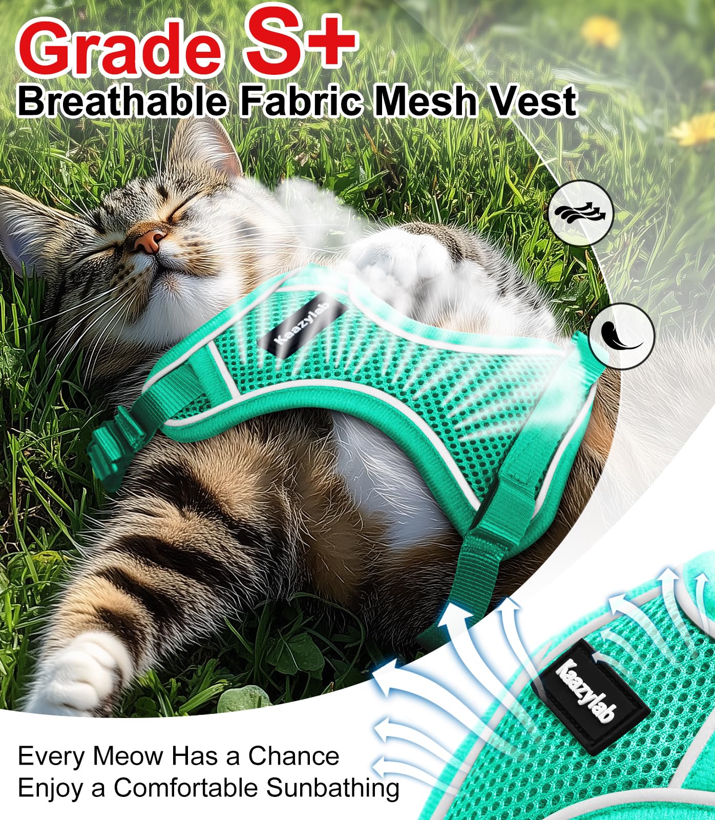 Boucles rapides Kaazylab faciles à attacher, même avec un chat agité.