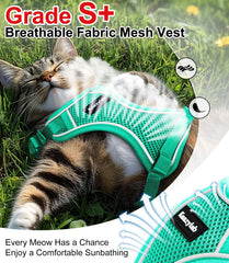 Boucles rapides Kaazylab faciles à attacher, même avec un chat agité.