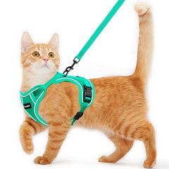 Harnais Kaazylab pour chat, double protection, sorties en sécurité.