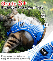 Harnais Kaazylab en maille respirante, garde le chat au frais.