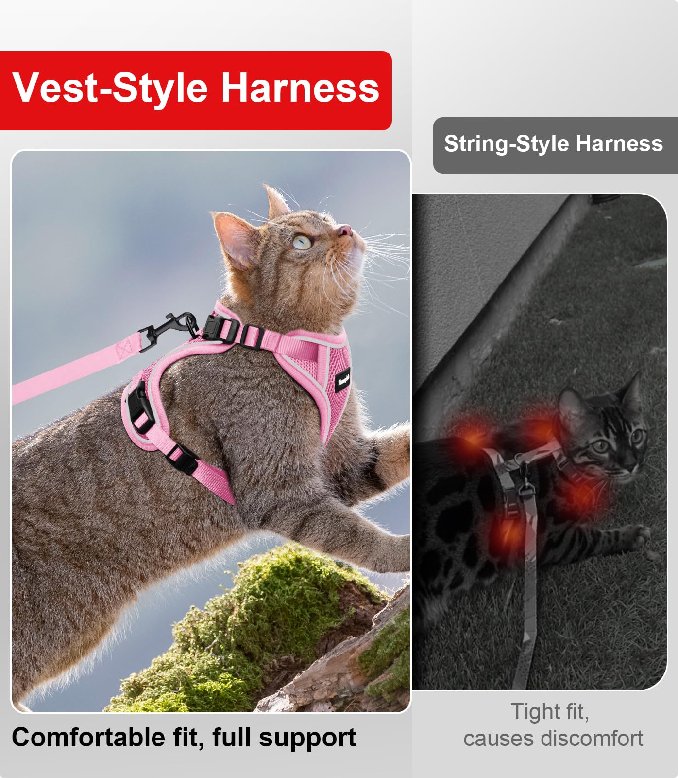 Mise en place rapide Kaazylab pour sorties sans stress avec chat actif.