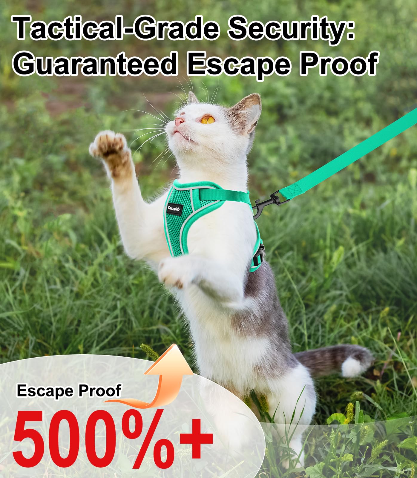Laisse Kaazylab pour chat, confort et contrôle pendant les sorties.