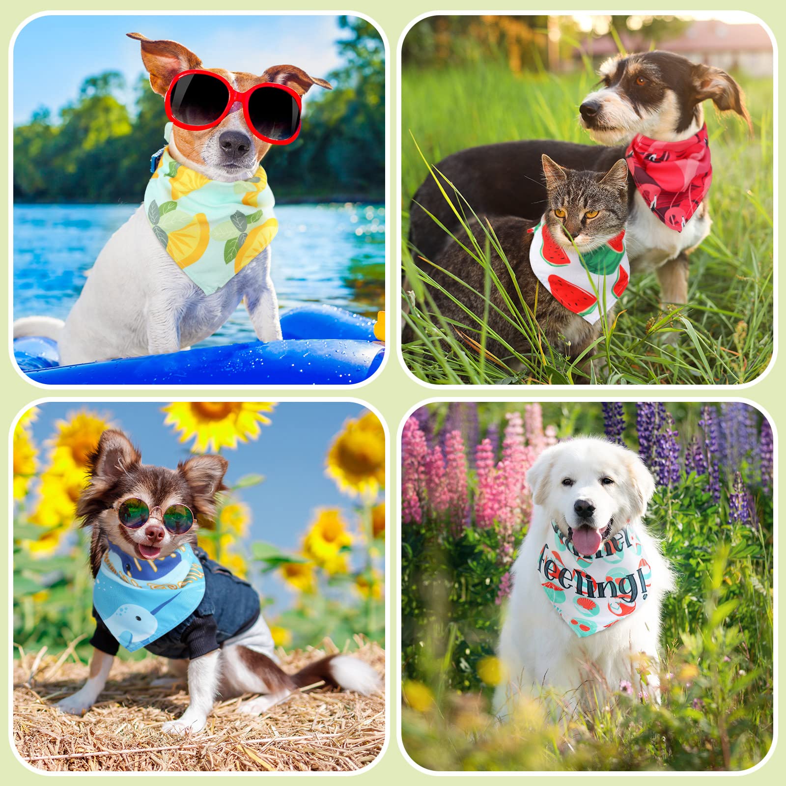 Bandana chien Kacctyen imprimés été, motifs colorés pour fêtes et sorties.