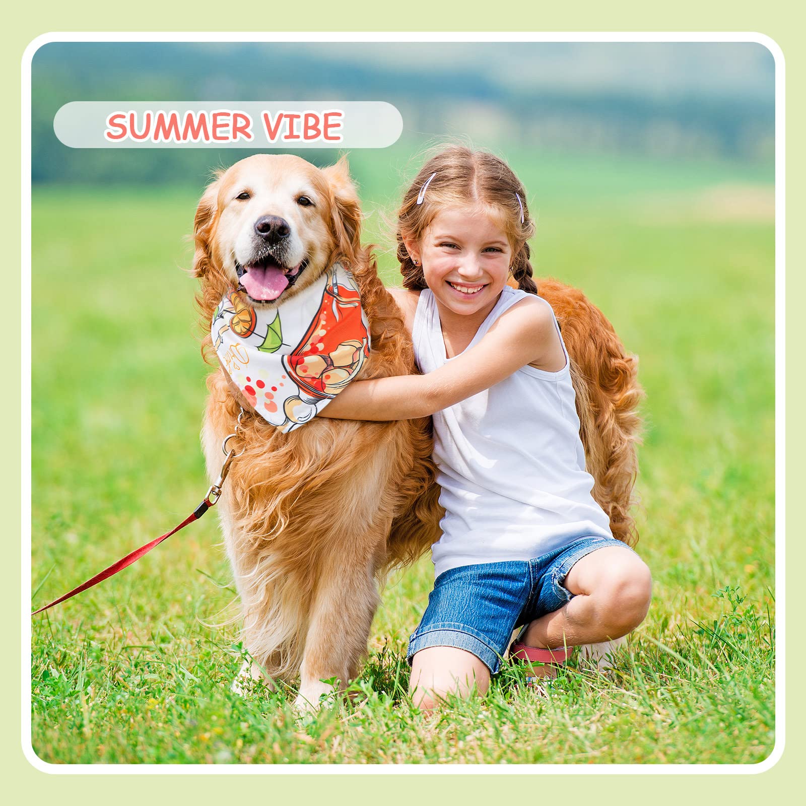 Bandana chien utilisation quotidienne et occasions spéciales.