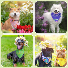Bandana triangle Kacctyen pour chat en coton doux, réglable.