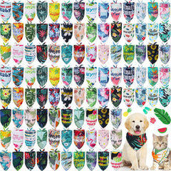 Bandana chien Kacctyen, ensemble estival varié, idéal pour photos et balades.
