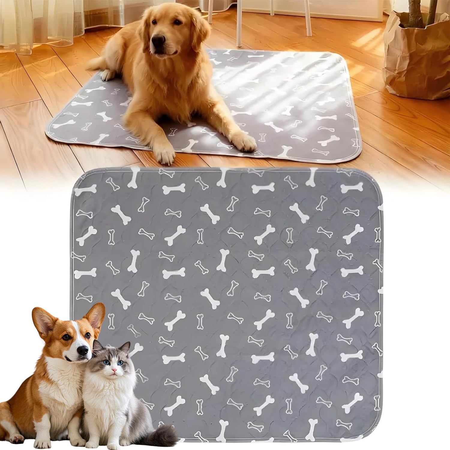 Kacitalone tapis-dapprentissage, gros plan anti fuite.