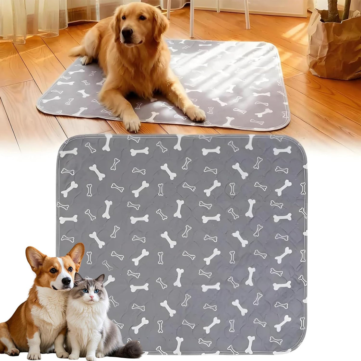 Kacitalone tapis-dapprentissage, gros plan anti fuite.