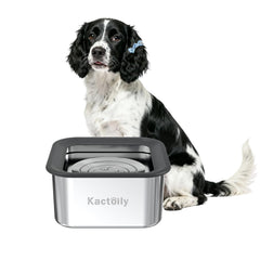 Kactoily bol eau chien 3l sans débordement pour grands chiens.