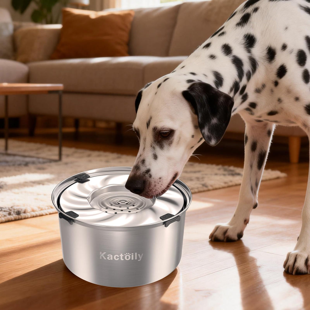 Bol en acier inox 304 de kactoily durable et sûr pour l'eau