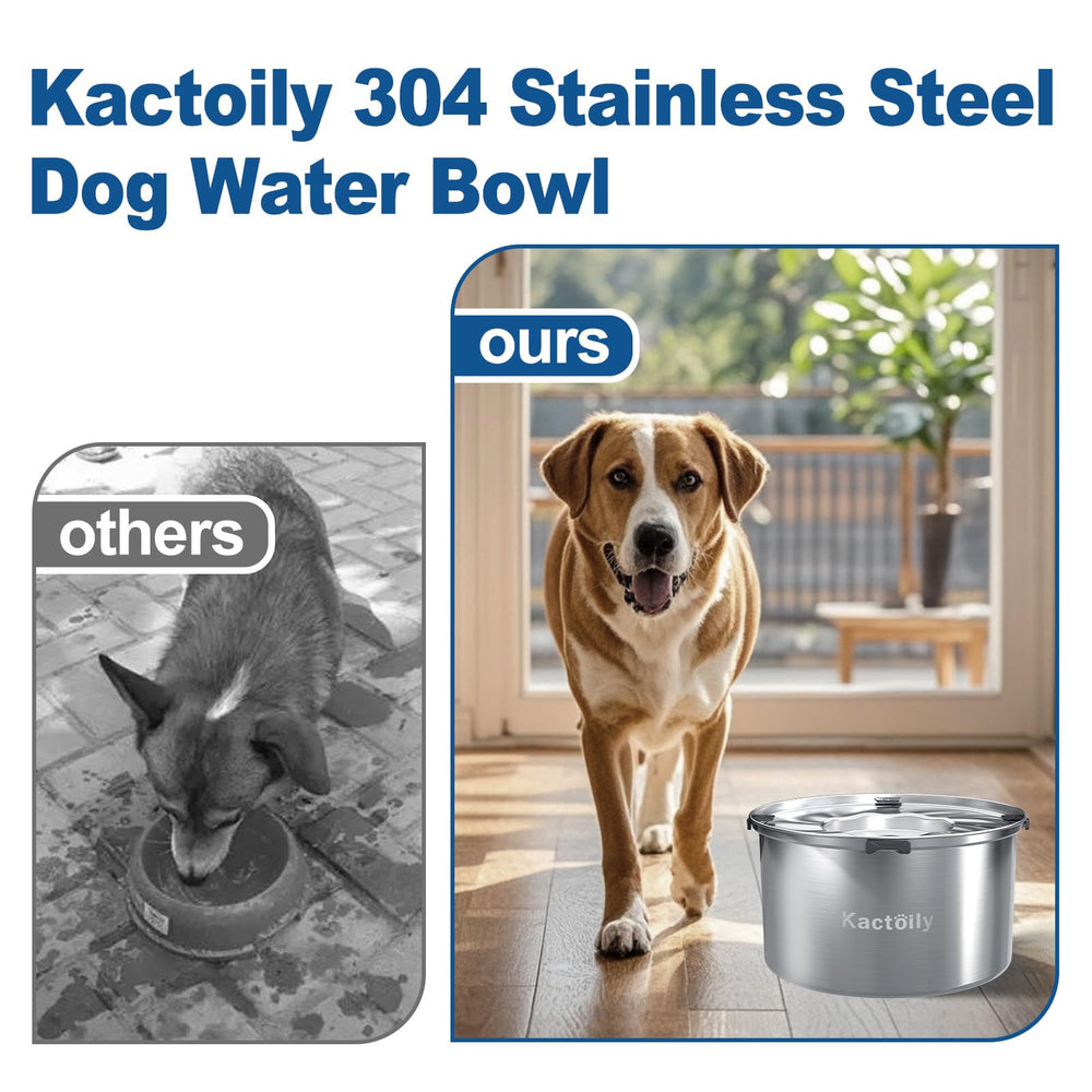 Bol kactoily en acier inoxydable 304, durable et sûr pour l’eau du chien.
