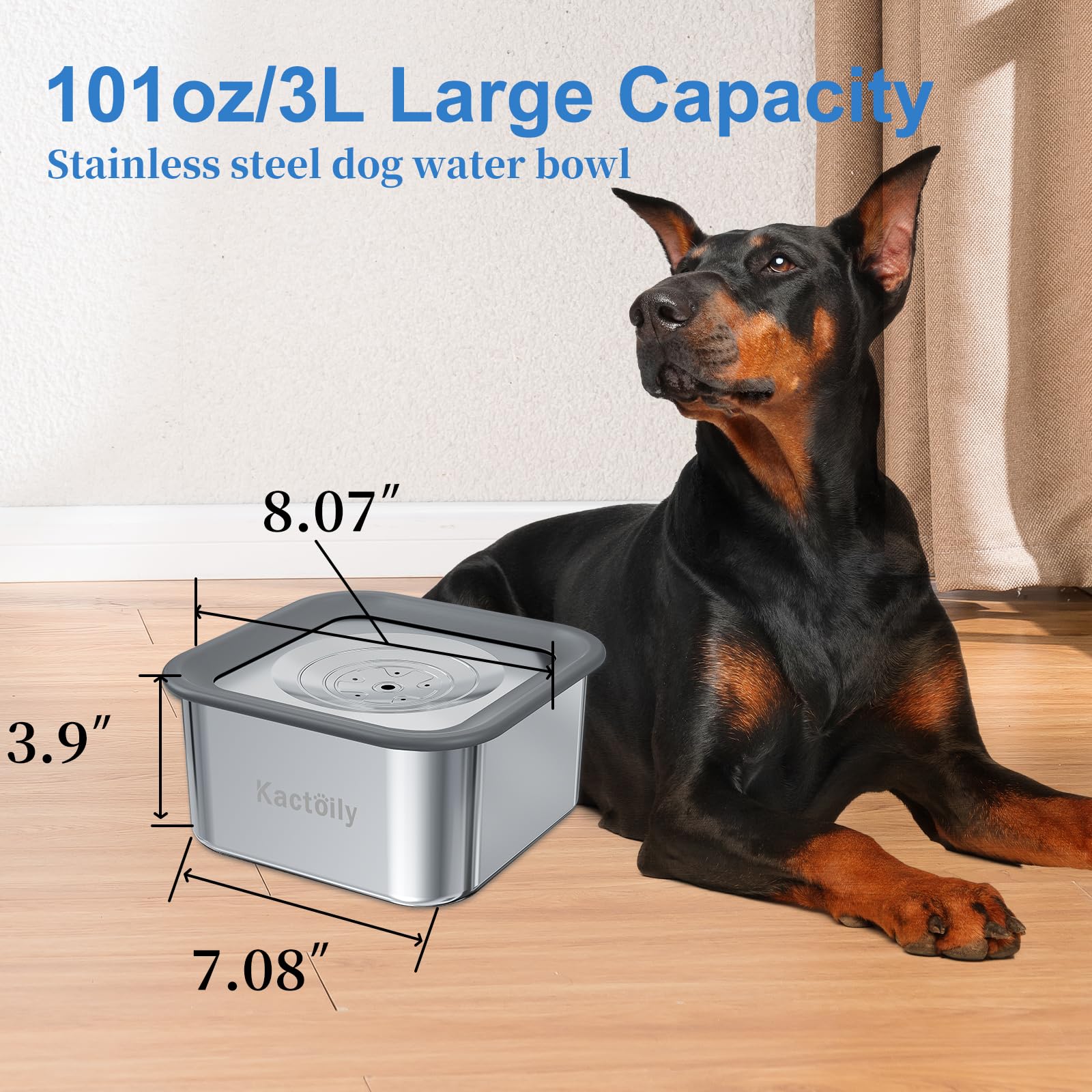 Kactoily bol eau design inox apporte style moderne et durabilité.