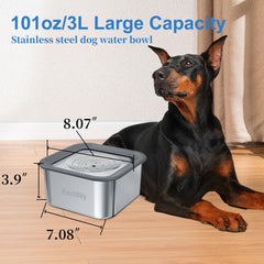 Kactoily bol eau design inox apporte style moderne et durabilité.