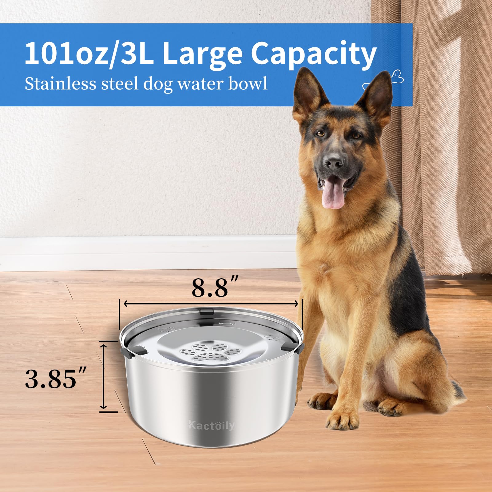 Bol d'eau Kactoily en voyage, pratique pour les sorties avec chien.