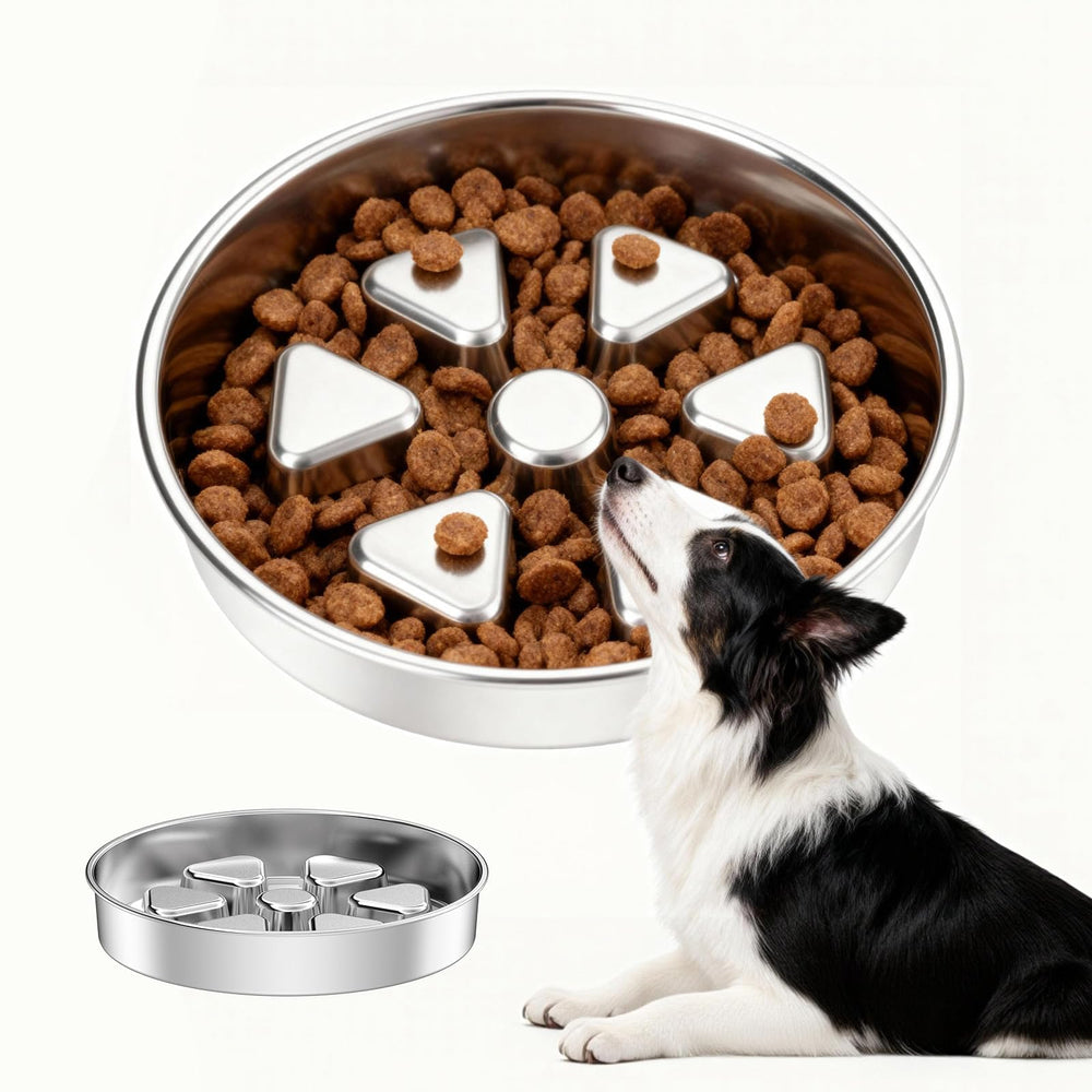 Idéal pour croquettes sèches ou aliments humides avec base fiable.