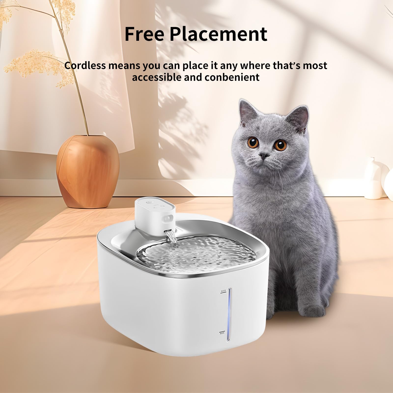 Kactoily conseils-entretien-filtre-chat: entretien régulier pour hydratation.