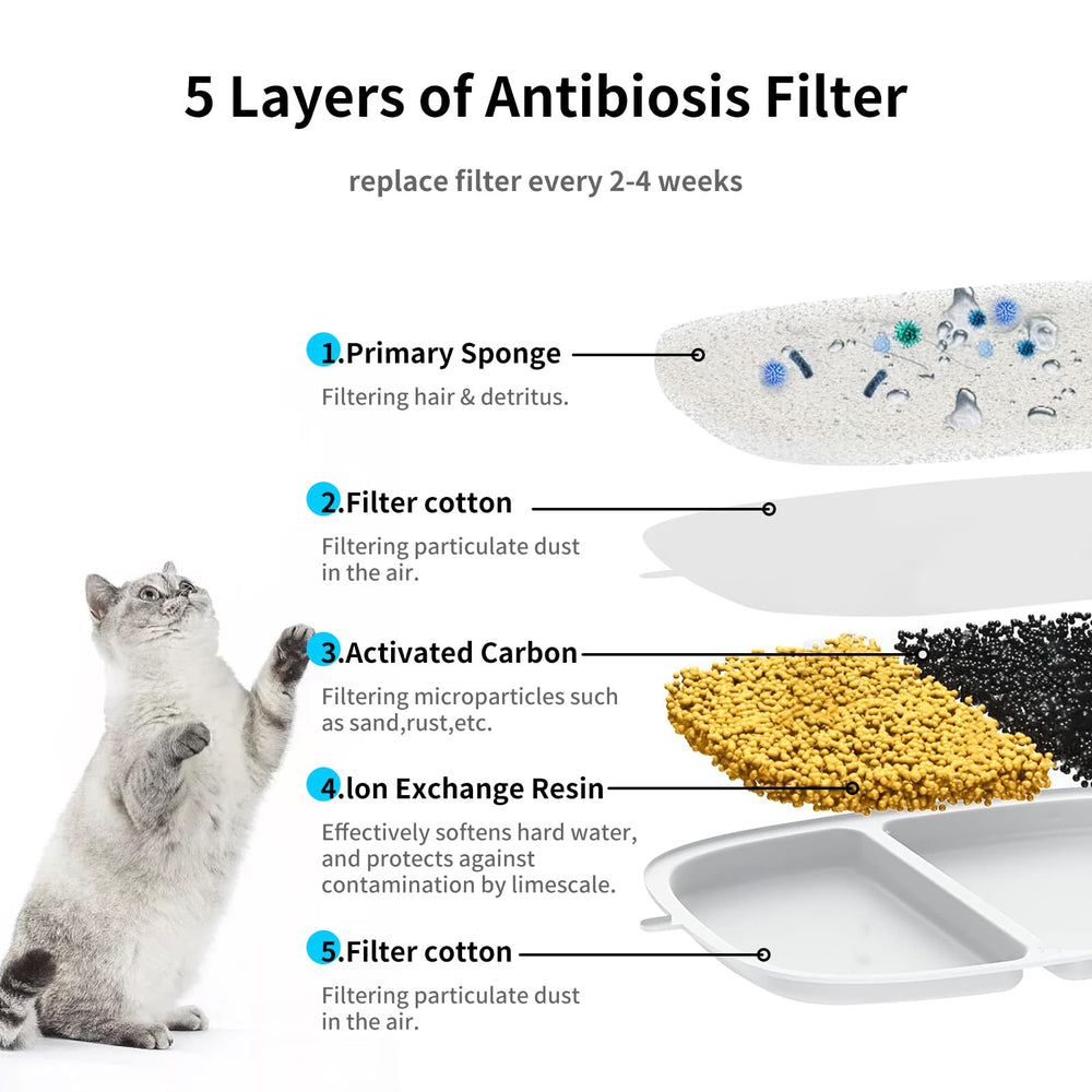 Kactoily système-filtration-triple-chat: trois couches pour un goût plus net.