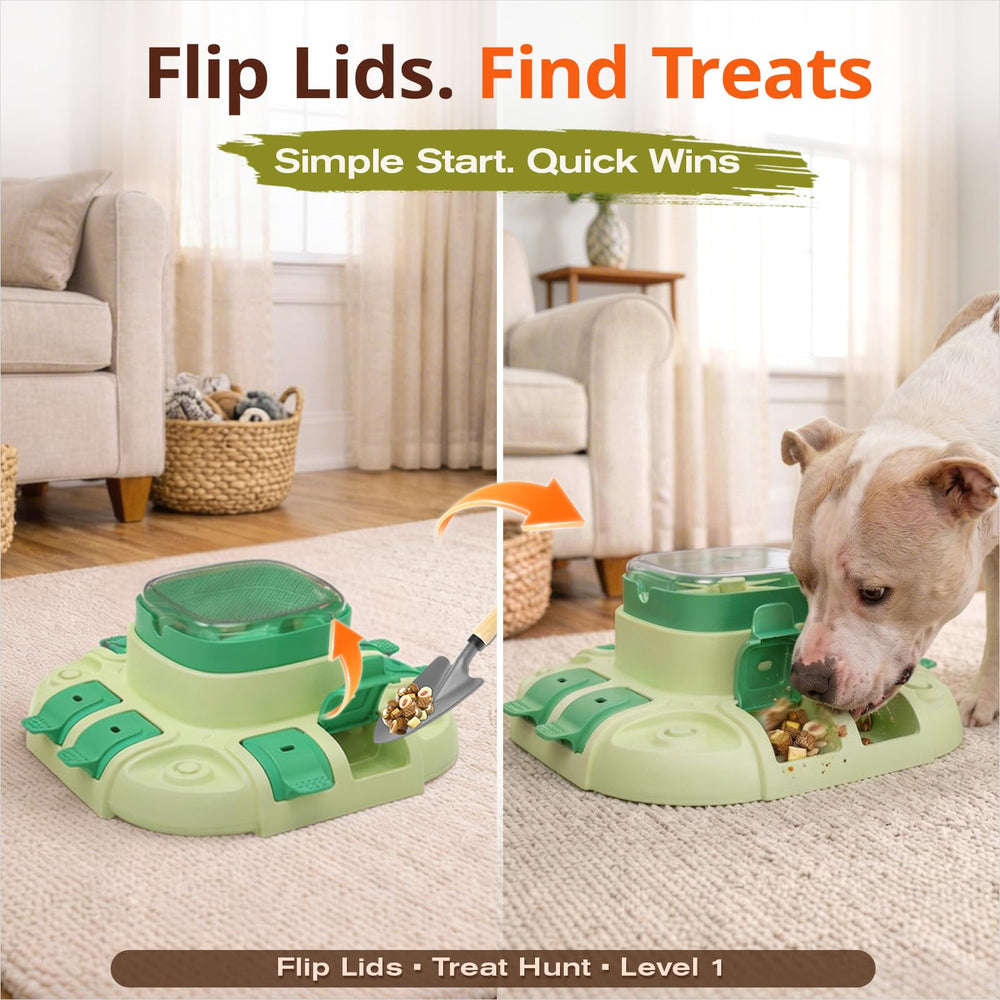 KADTC puzzle-chien distribution-gourmandises: récompenses motivantes.