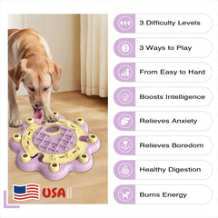 Ralentisseur de nourriture KADTC, puzzle-chien pour manger lentement et prolonger le repas.