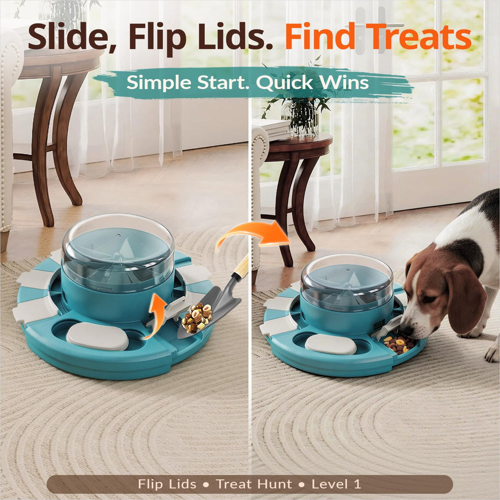 KadTC puzzle chien – top translucide permettant de suivre les récompenses.