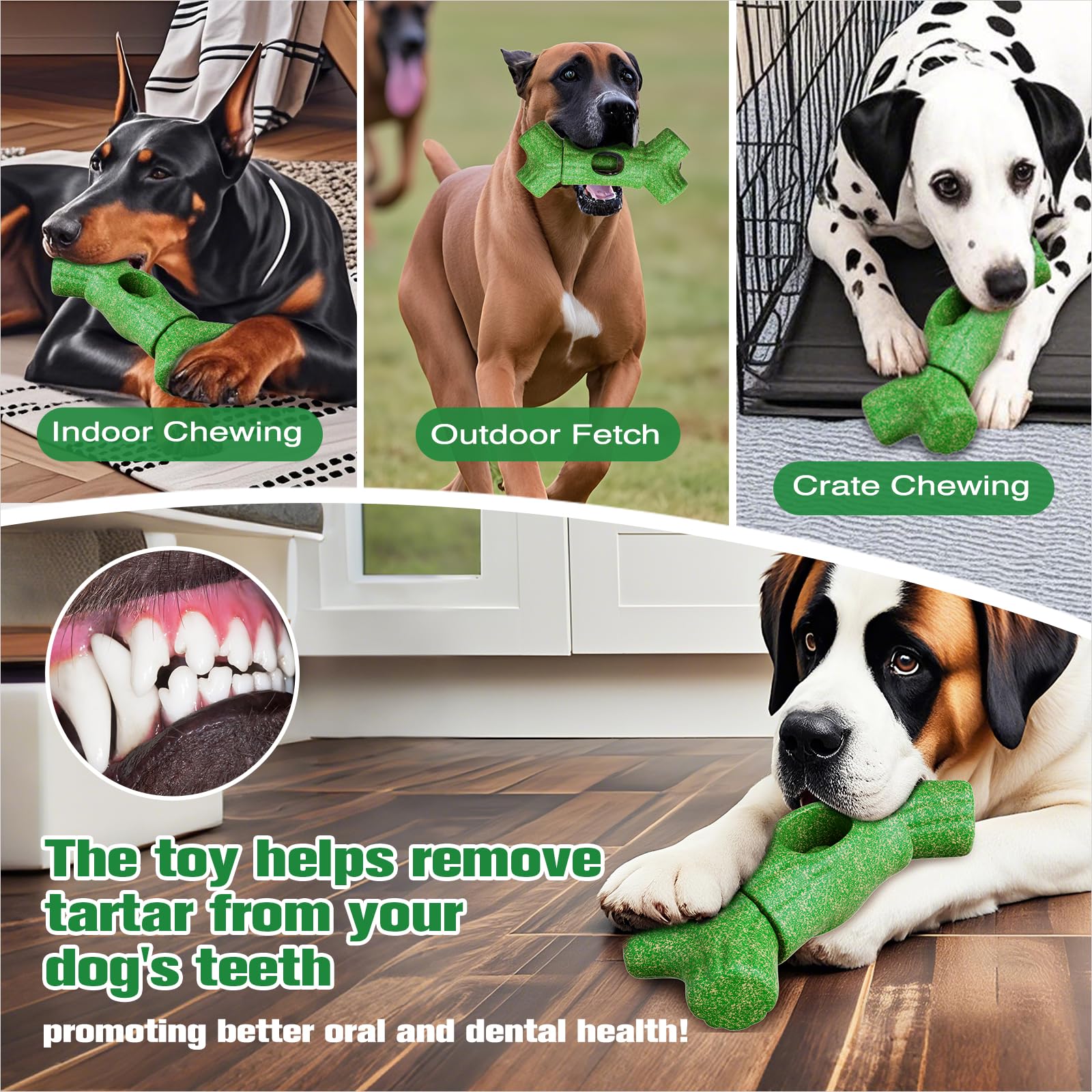 KADTC utilisation simple et quotidienne pour garder le chien occupé et engagé.