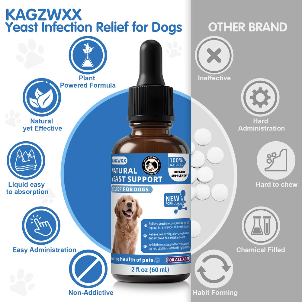 KAGZWXX Probiotiques digestion chien — améliore la digestion et l’absorption des nutriments.