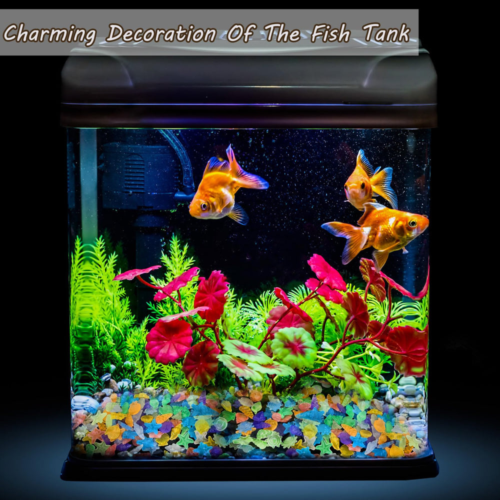 Kaiyuan Dynasty – conches lumineuses pour aquarium, esthétique naturelle et lumineuse.