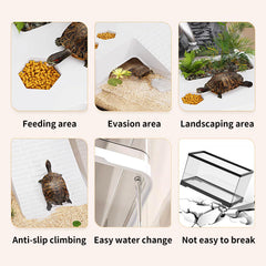 KAKOOTI aquarium tortue – design tout-en-un sans installation complexe.