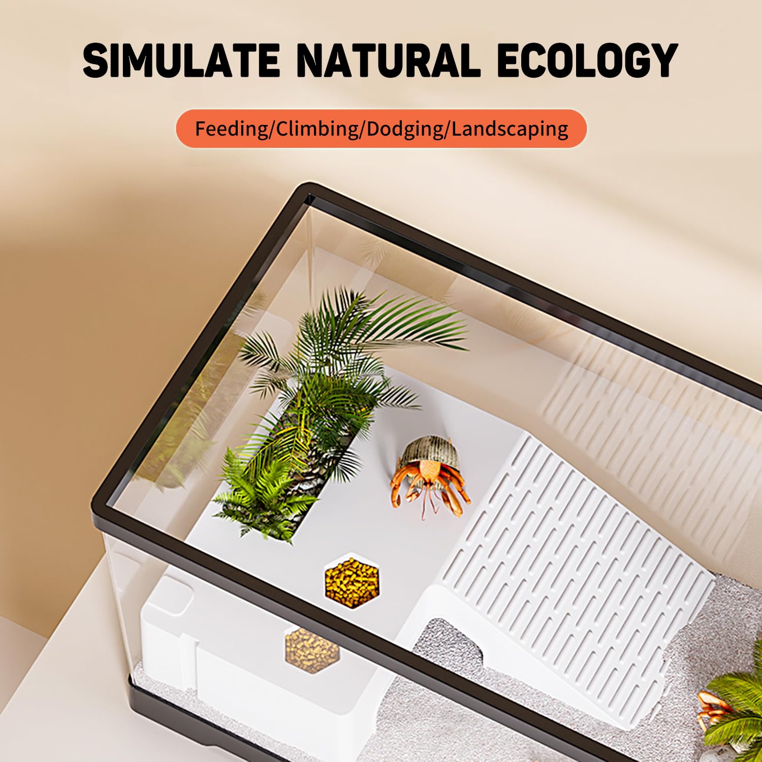 KAKOOTI aquarium tout-en-un pour reptiles et petits poissons.