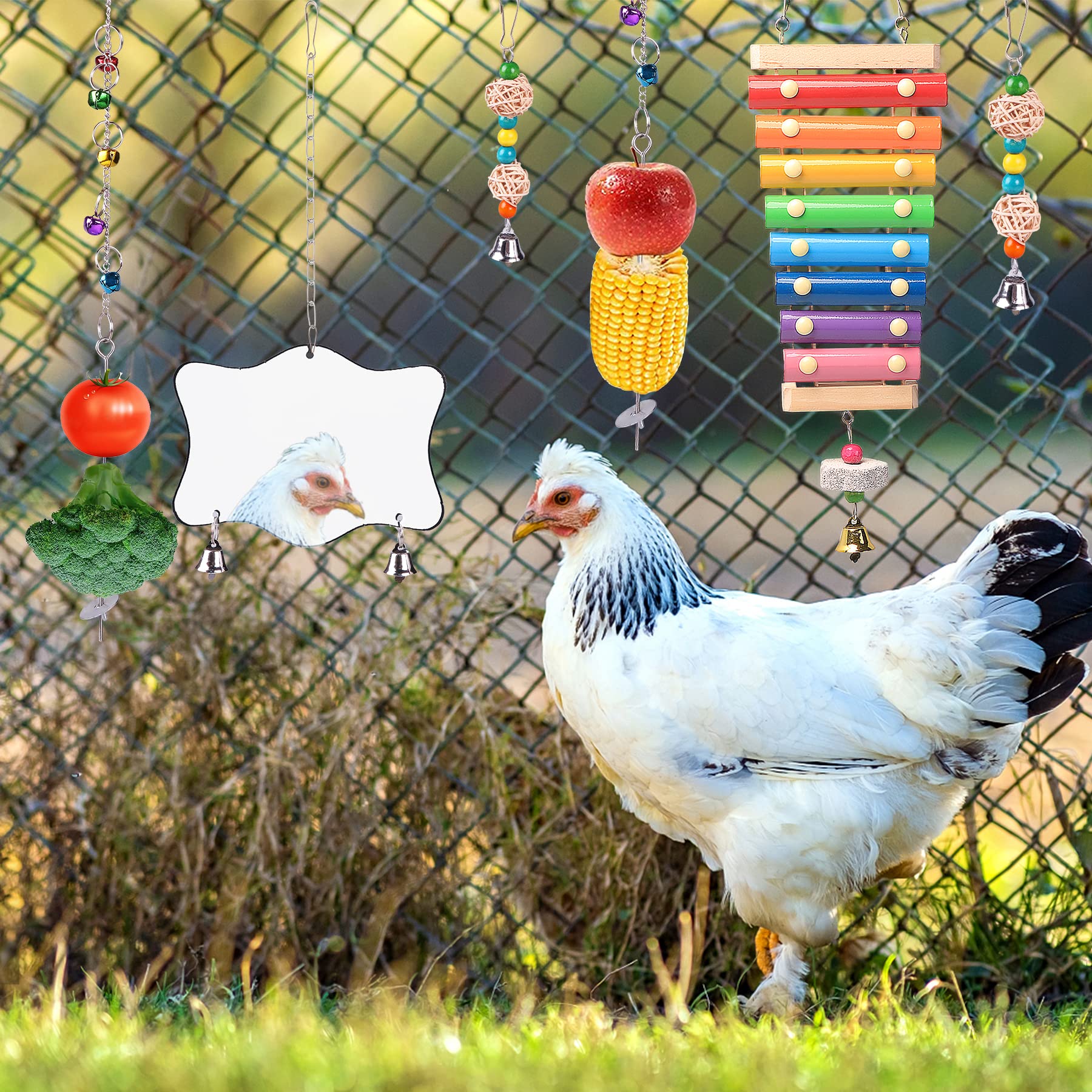 KAKUNM Distributeur fruits suspendu, alimentation interactive et divertissement.