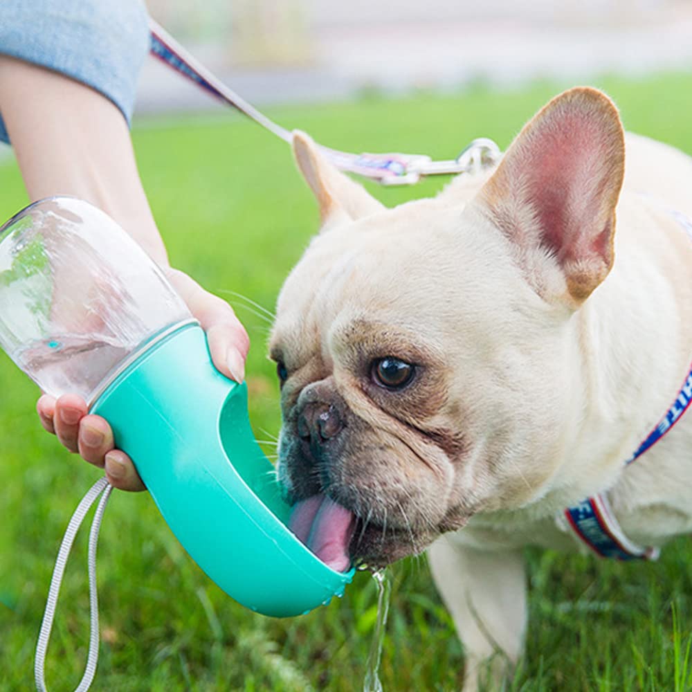 Kalimdor Bouteille eau chien idéale pour randonnées, voyages et promenades.