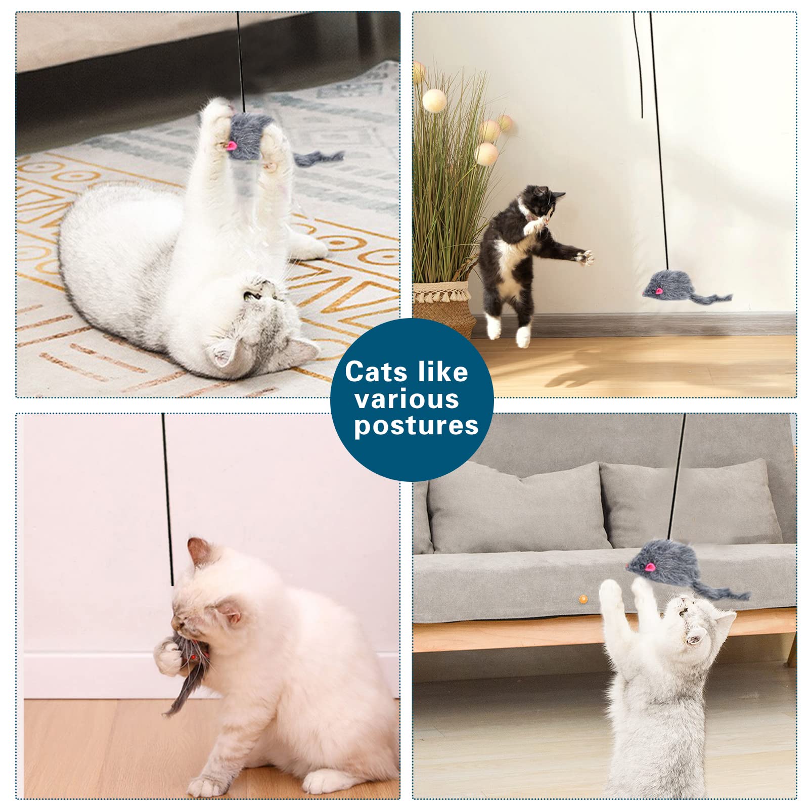 Kalimdor jouet chat intérieur idéal pour chats actifs et joueurs.