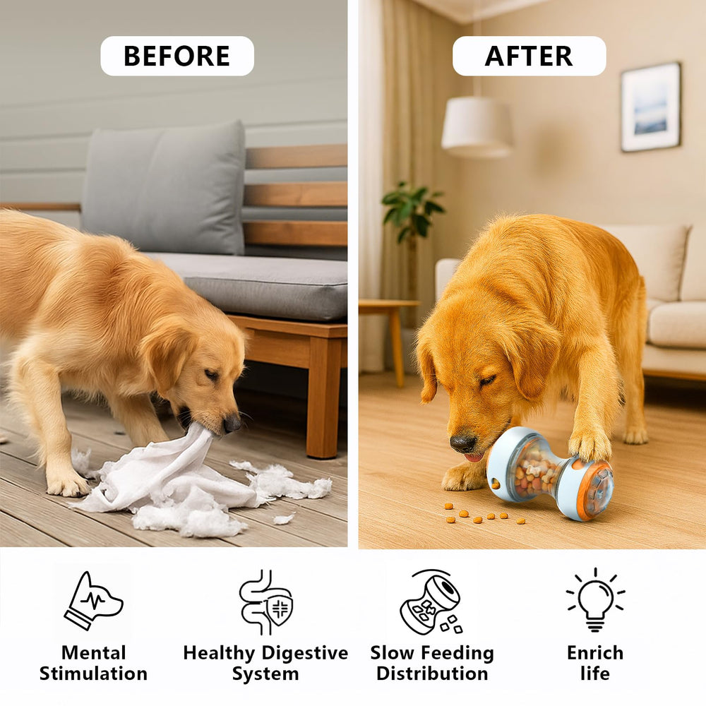 Kalimdor matériaux sans nocifs chien orange: sécurité quotidienne et durabilité