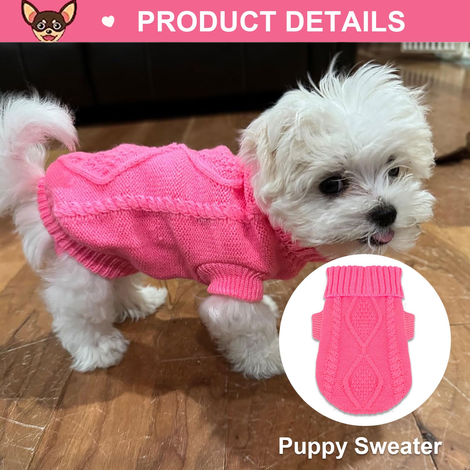 Look hivernal confortable pour petit chien Kallfir's Cutie.