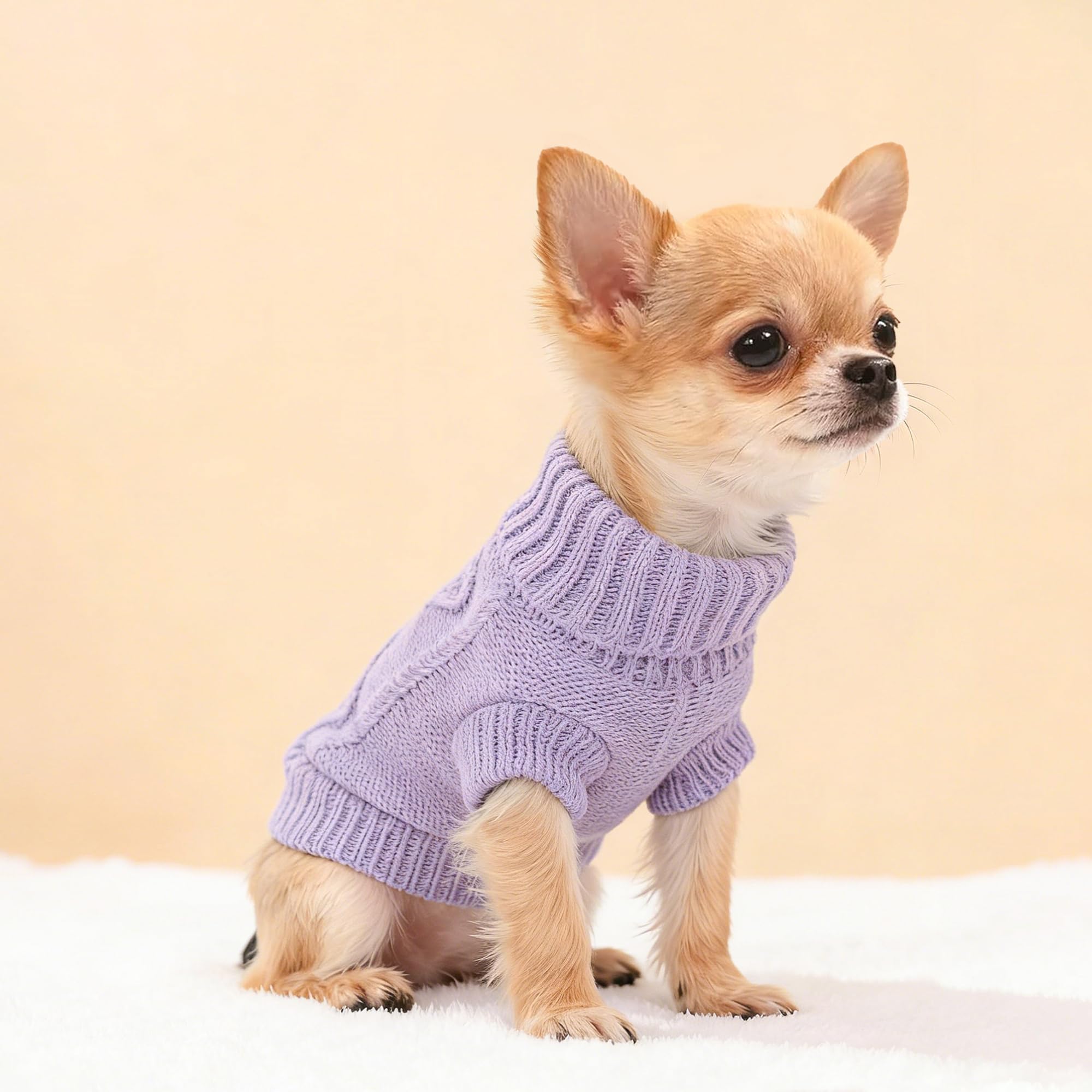 Pull Kallfir's Cutie gris, col roulé confortable pour petit chien.