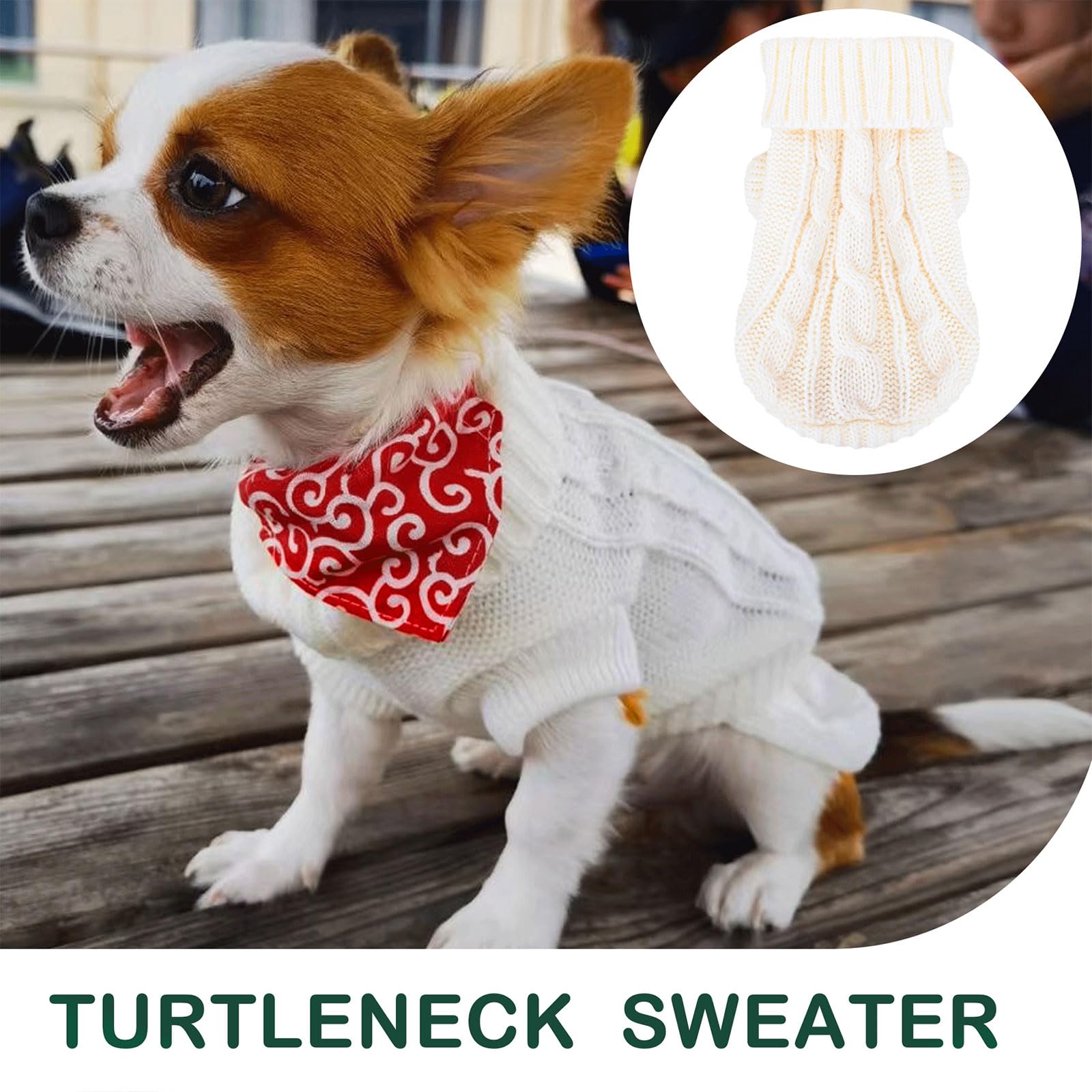 Pull-over Kallfir's cutie pour petit chien vert, douceur et chaleur pour l'hiver.