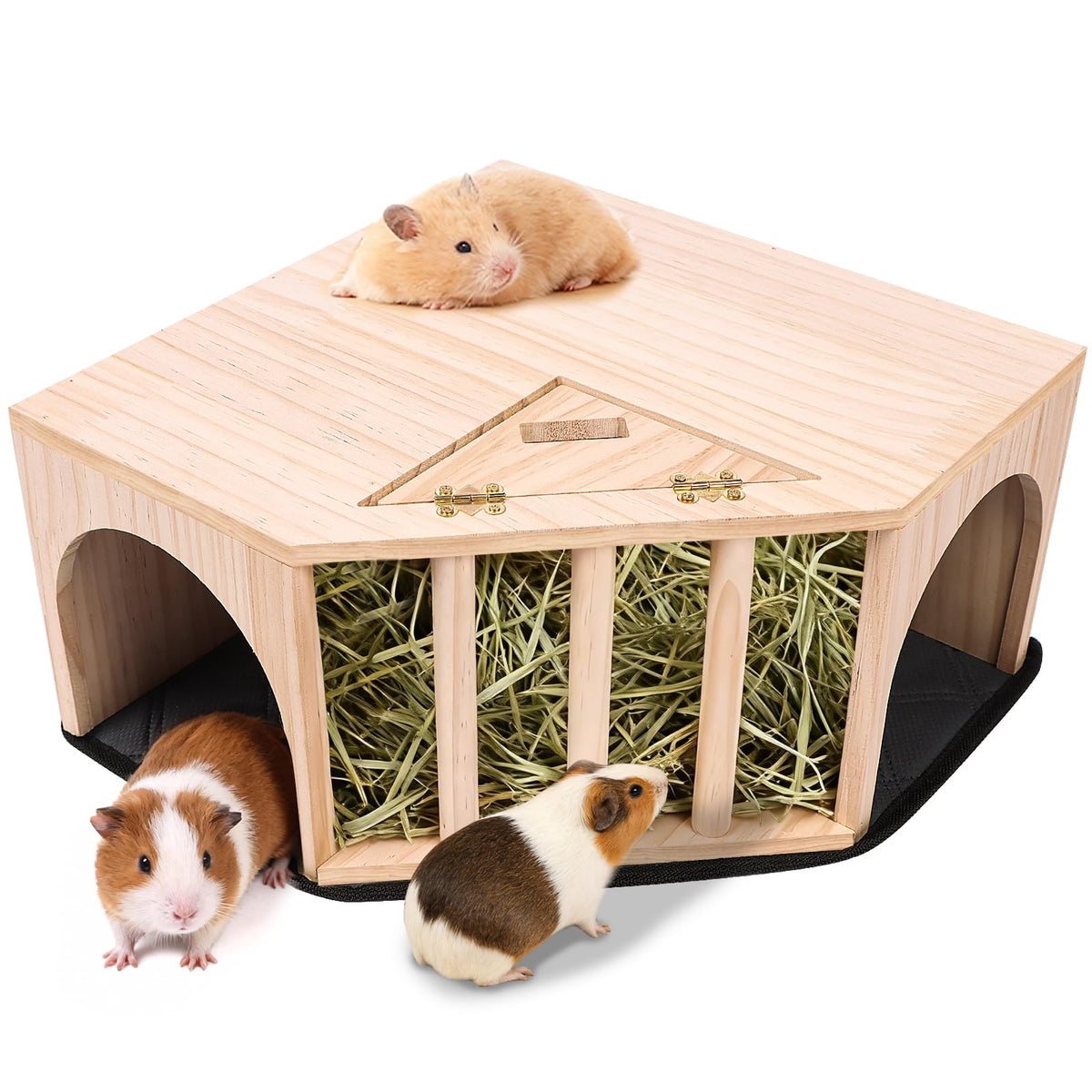 Niche Kalolary en bois, vue extérieure: refuge sûr pour petits animaux et exploration facile.
