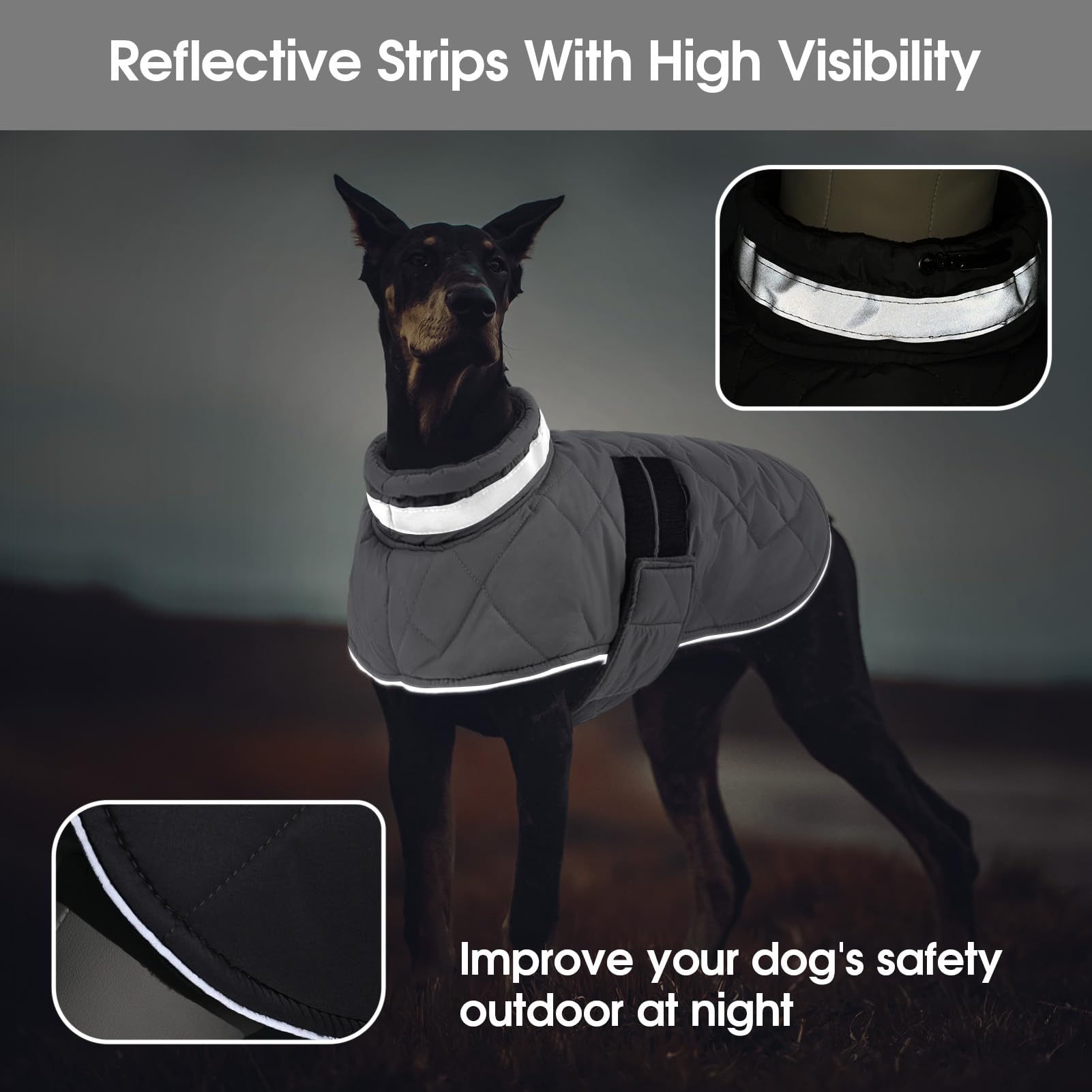 KAMA BRIDAL gilet chien enfilable, mise en place rapide.