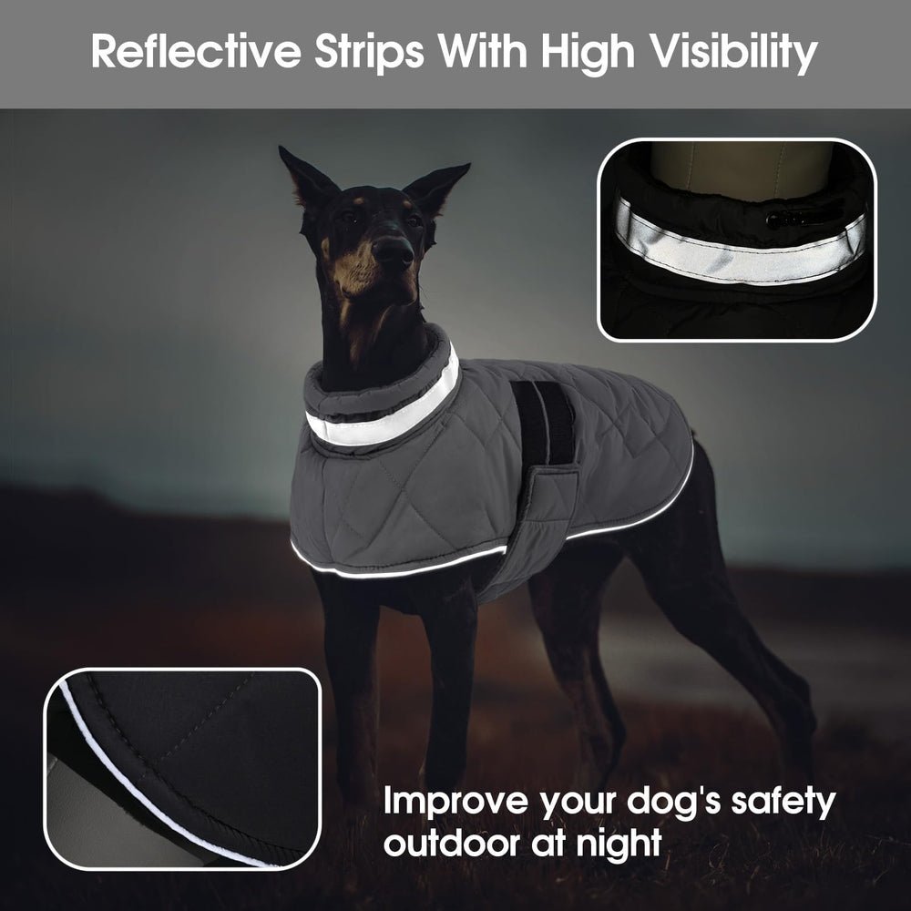 KAMA BRIDAL gilet chien enfilable, mise en place rapide.