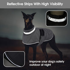 KAMA BRIDAL gilet chien enfilable, mise en place rapide.