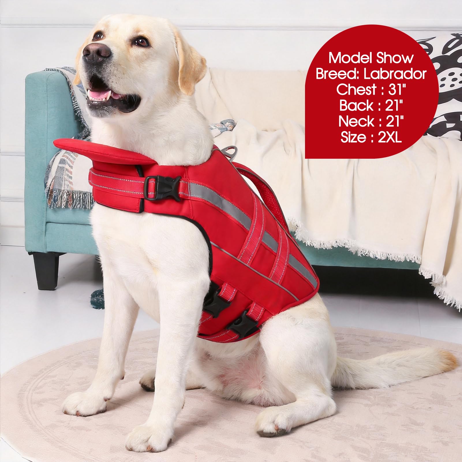 Sangles ajustables et fixations rapides du gilet KAMA BRIDAL pour chien rouge 2XL.