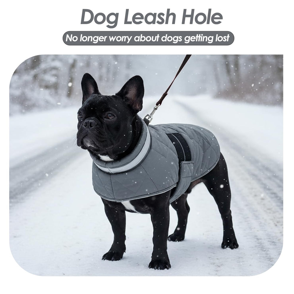 KAMA BRIDAL manteau gris taille XL, coupe adaptée pour grands chiens.