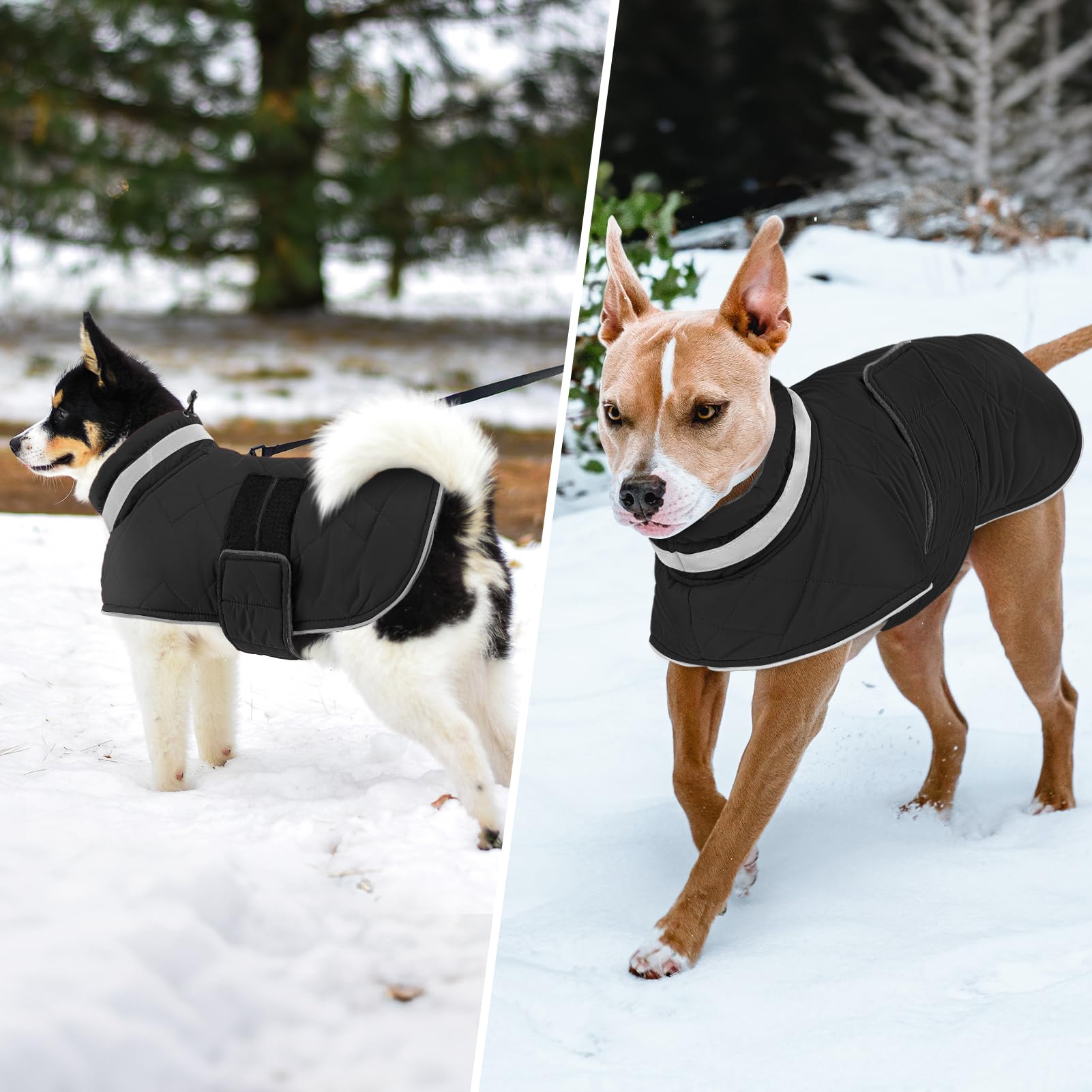 KAMA BRIDAL manteau chien hiver - ajustement ventral par velcro.