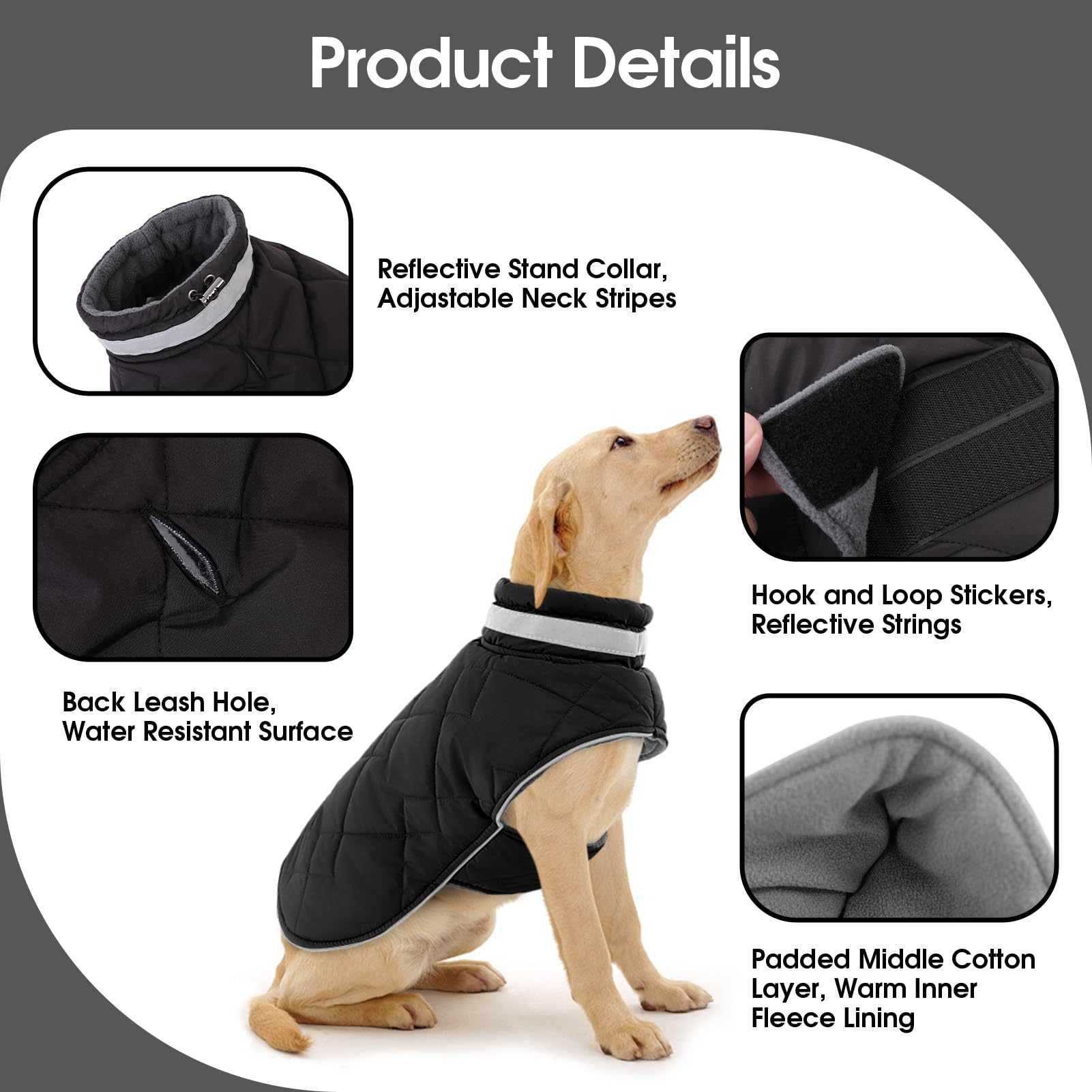KAMA BRIDAL manteau chien hiver - tissu imperméable pour jours de pluie.
