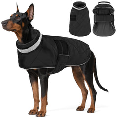 KAMA BRIDAL manteau chien hiver - vue avant, chaleur et confort lors des promenades.